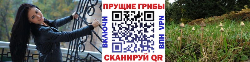 Псилоцибиновые грибы Psilocybine cubensis  Купить где  Усинск 