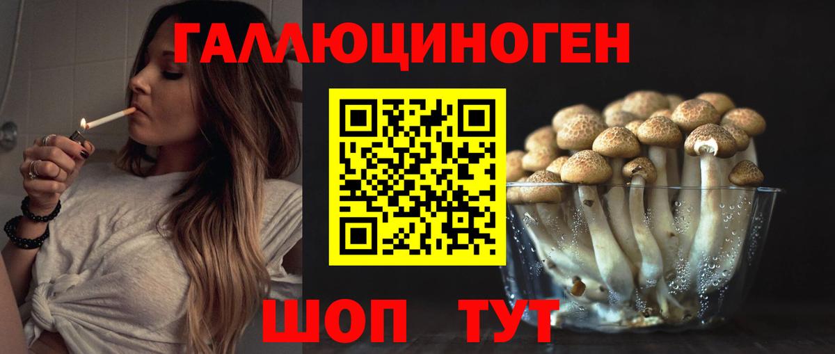 Псилоцибиновые грибы Psilocybe Усинск