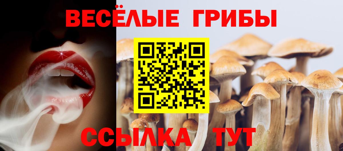 Псилоцибиновые грибы MAGIC MUSHROOMS Усинск